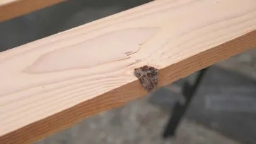 Nœuds détachés en bordure de la lame