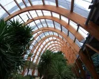 Vignette de l'article : Encore plus loin : les charpentes en bois lamellé-collé