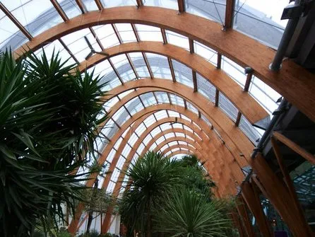 Encore plus loin : les charpentes en bois lamellé-collé