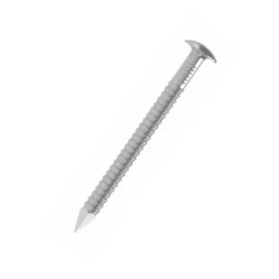 Pointe annelée tête bombée - Inox A4 D=2.5mm, L=60mm, BTE1230 - ARA42.5X60 - Réf. 75028